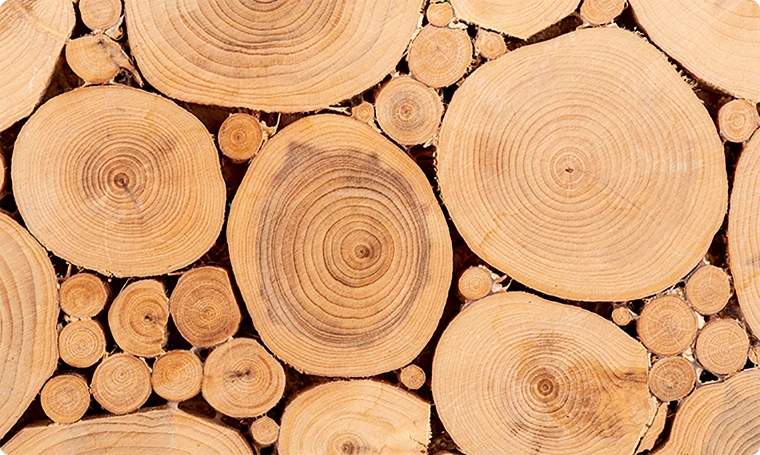 Olid wood floors not only enhance the beauty of the home, but a